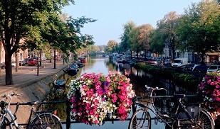 Bicycles are a common site while visiting Leiden in the Netherlands