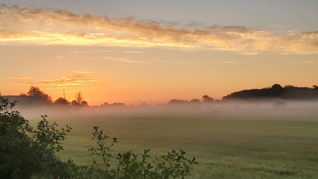 The Delftse hout camping park is one of the things to see in Delft and its vicinity.