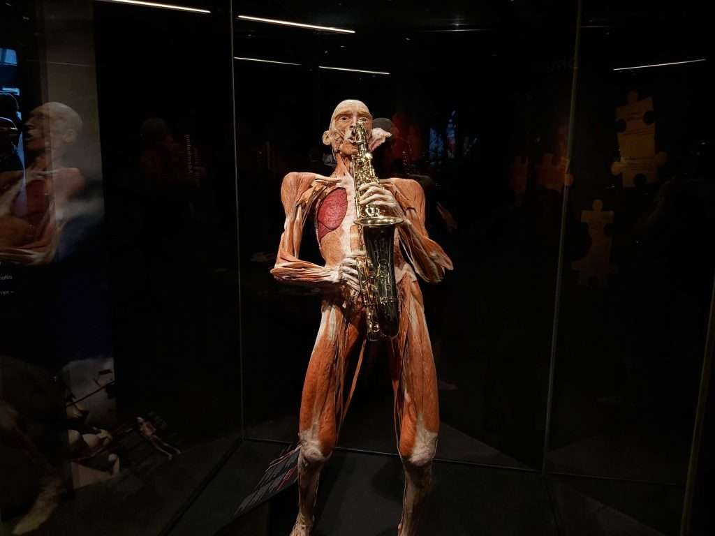body worlds museum damrak Amsterdam netherlands happiness project